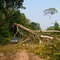 A força da Natureza - Jirau - RO