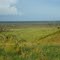 Aspecto da paisagem no entorno de Nova Mutum Paraná - Porto Velho - RO