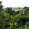 Ponte do corrego mutuca BR-153