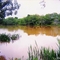 Lagoa do Córrego do Porto- Serranópolis-GO dedico esta foto ao *Levi Carlos*