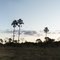 Fazenda Santo Antônio