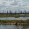 Lago (GRM)