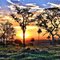 Country Sunset