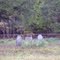 Mesheck Perdue Cemetery