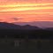 Intense Virginia Sunset
