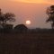 Por do sol no cerrado!