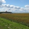Chazy Farm, Looking West