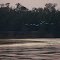 Rio araguaia