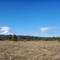 Mt. Adams from Conboy Lake area