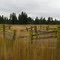 Old Corral