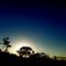 Pôr-do-Sol no Cerrado a 3 km do Centro da cidade. Dedico esta foto ao amigo *Polifemo*,  o *Carlos*