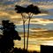 Pôr-do-Sol visto do Anel Viário para o Bairro Filomena Rabelo de Carvalho - Para minha amiga irmã Sara Cristina - **CONTEST JANEIRO 2011**