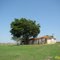 Fazenda V.P.