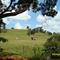 Paisagem