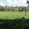 Rancho WM