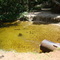 Tubão