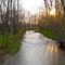 Wolf Creek @Trotwood Community Park, Trotwood, OH