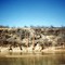 Remains of suspension bridge on the Red River, known as burned out bridge. Photo by R. Rogers.