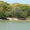 A margem desabitada do lago dos tigres