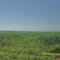 Área de plantação - Fazenda Canadá