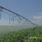 Irrigação por pivô central - Fazenda Canadá