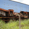 locomotiva da FCA abandonada em sete Lagoas