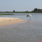 TUIUIÚ