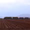 Train, Coolidge, Arizona