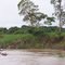 Rio Solimões