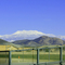  View of the snow on the San Jacinto Mountain Range from home