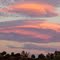 Colors of nature