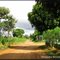 Franca Rural