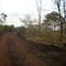Estrada terra fazenda Japão
