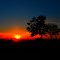 AMANHECER NA AMAZONIA - अमेज़न के दिल में भोर - الفجر في قلب الأمازون - รุ่งอรุณในหัวใจของอเมซอน  -  שחר בלב הליבה של אמזון -