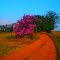 SITIO ESTRADA DE TERRA