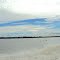 exotic amazon purus river