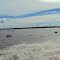 exotic amazon purus river