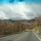 California fires aftermath, near Palomar Mountain