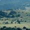 La Jolla Amago valley from above