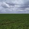 Cadastro de Compromisso Socioambiental - Fazenda Das Orquídeas - Cadastrada desde 2011