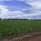 Cadastro de Compromisso Socioambiental - Fazenda Condomínio Passo Fundo - Cadastrada desde 2011