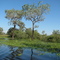 Pantanal na cheia 2