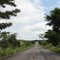 Monte Alegre de Goiás - GO, Rod. GO-118