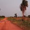 Monte Alegre de Goiás - GO, estrada para Povoado Prata