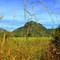 Monte