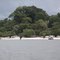 beach of  amazonas river