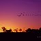 Dusk at Cerrado Goiano - by Erik Ferreira