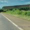 Eucalípto