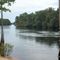 Rope swing at Log Landing boat ramp, Gilchrist Co.