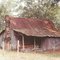 Killer looking weathered cracker shack, Bell Fla (9-1997)